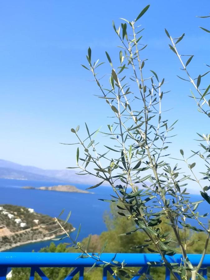 Villa Iokasti  Pefkali Esterno foto